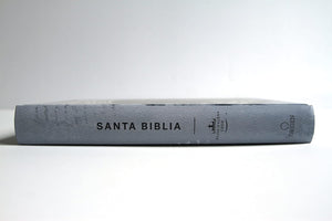 Biblia RVR60 letra grande tamaño manual, tapa dura León Rey de Reyes