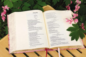 NIV, Artisan Collection Bible, Cloth over Board, Pink Floral