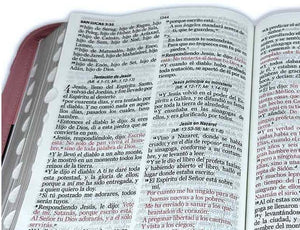 Biblia Letra Gigante RVR60