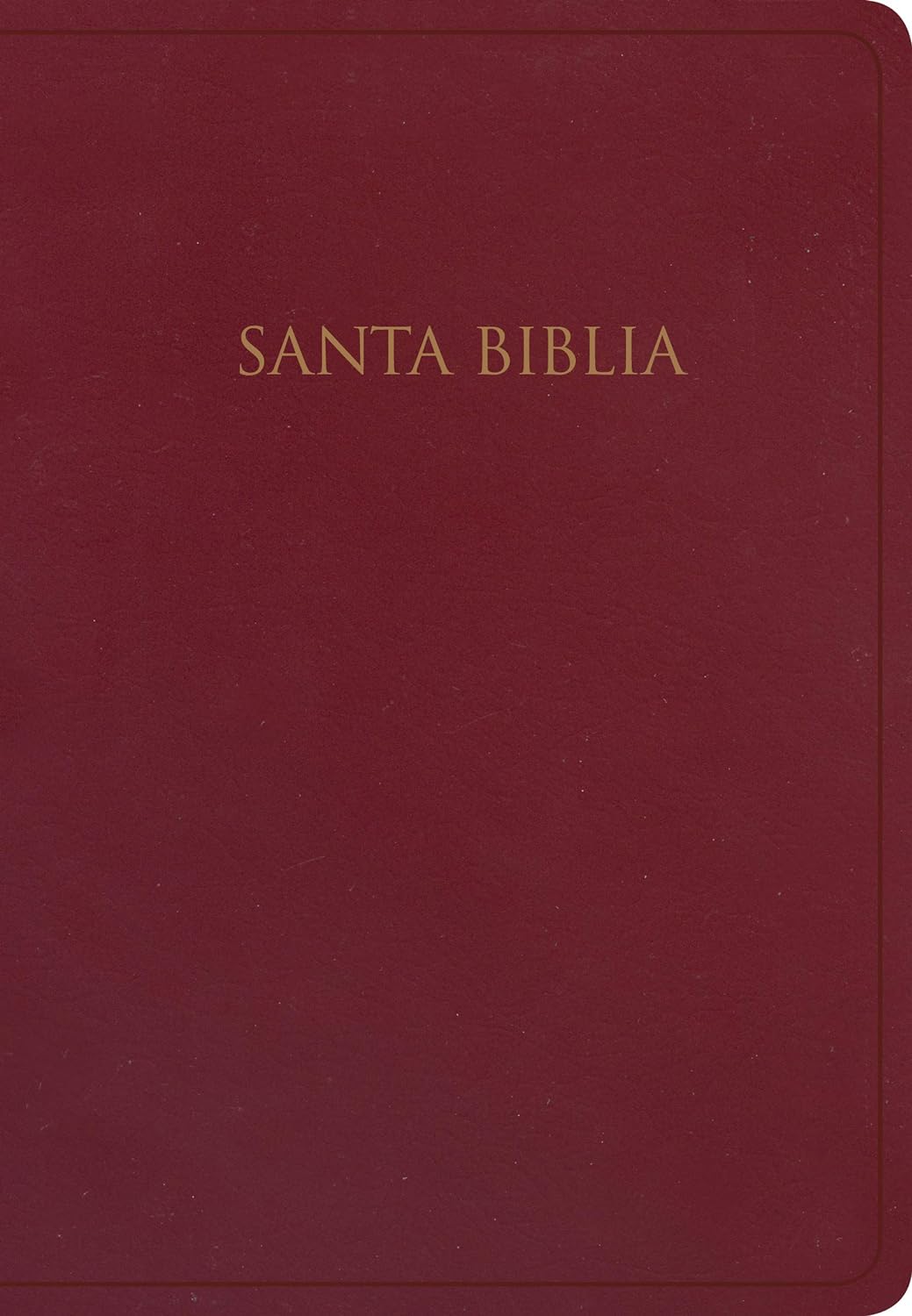 Biblia Reina Valera 1960 para Regalos y Premios. Imitación piel, borgoña | Gift and Award Holy Bible RVR60. Imitation Leather, Burgundy (Spanish Edition)